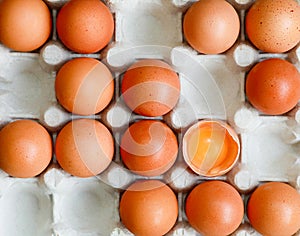 Eggs. Top view. Several white eggs in carton basket photo
