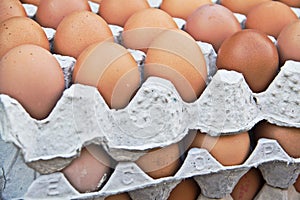 Eggs in tray