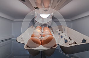 Eggs in tray inside refrigerator fridge