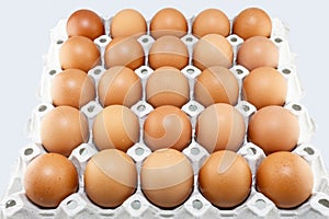 Eggs