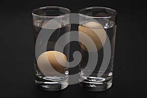 Eggs in water test on transparent glass , Egg freshness test on black background , Bad egg floats in water