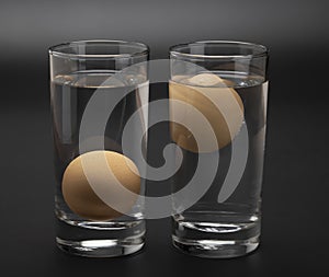 Eggs in water test on transparent glass , Egg freshness test on black background , Bad egg floats in water