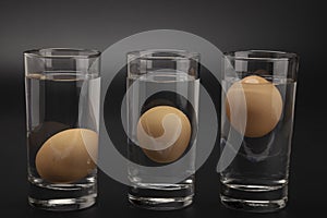 Eggs in water test on transparent glass , Egg freshness test on black background , Bad egg floats in water