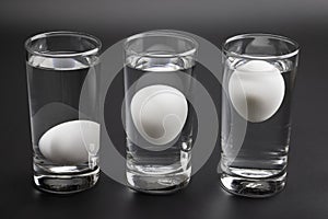 Eggs in water test on transparent glass , Egg freshness test on black background , Bad egg floats in water