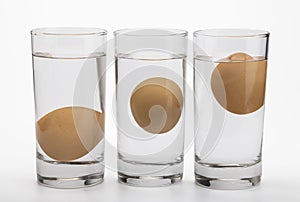 Eggs in water test on transparent glass , Egg freshness test on white background , Bad egg floats in water