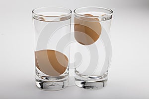 Eggs in water test on transparent glass , Egg freshness test on white isolated background , Bad egg floats in water