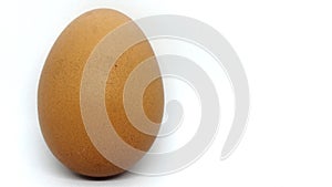 Eggs in the white background