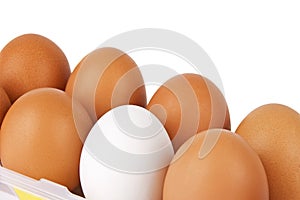 Eggs