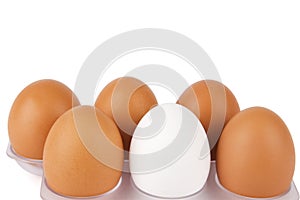 Eggs