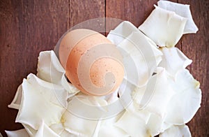 Eggs on white petal