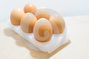 Eggs on white tray