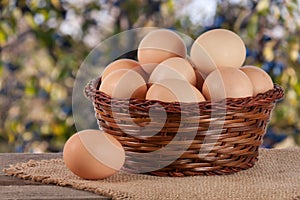 Eggs in a wicker basket on a wooden board with blurred garden background