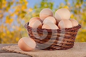 Eggs in a wicker basket on a wooden board with blurred garden background