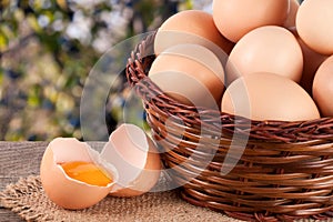 Eggs in a wicker basket on a wooden board with blurred garden background