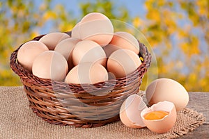 Eggs in a wicker basket on a wooden board with blurred garden background