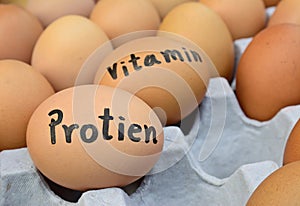 Eggs with word protien,vitamin for food concept
