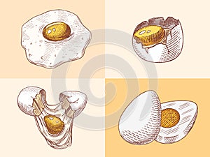 Eggs and and yolk, scrambled omelette, shell and farm product. Engraved hand drawn vintage sketch. Woodcut style. Vector