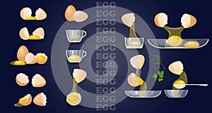 Eggs, yolks, albumen, eggshells, glass bowls. Vector set.