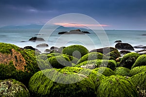 Nature Seascape with Rocks Covered by Green Mosses, Silky Water and Dark Cloudy Sky photo