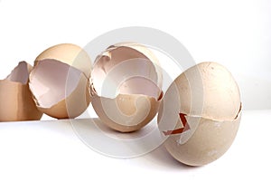 Eggshell 1