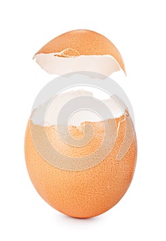 Eggshell