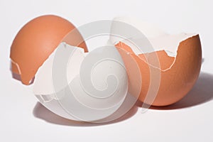 Eggshell