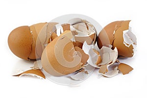 Eggshell