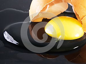 eggshell is broken and the contents of egg flowed out photo