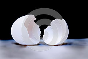 Eggshell cracked in half
