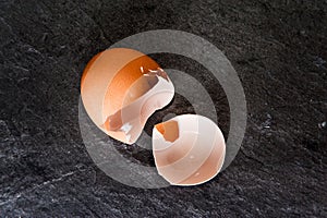 Eggshell on dark background