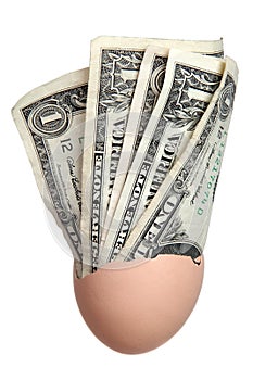 Eggshell with dollar bank notes