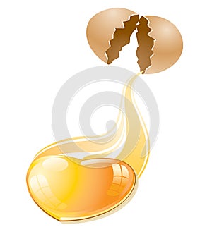 Eggshell and egg yolk