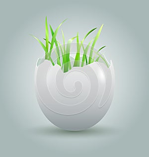 Eggshell with growing grass