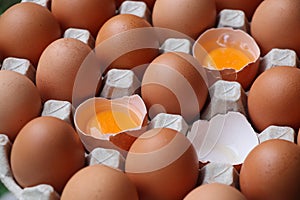 Eggshell  uncook in egg panel background, good nutrition