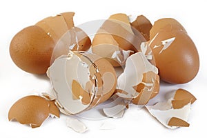 Eggshell on white background