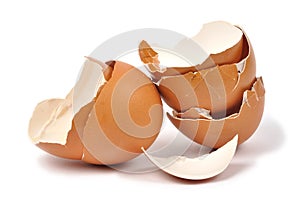 Eggshells photo