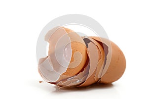 Eggshells