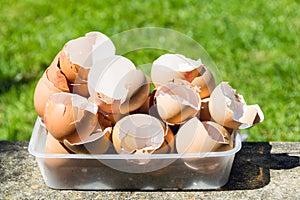 Eggshells in a plastic container 1 photo
