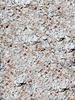 Eggshells texture background pattern