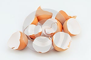 Eggshells on white background photo