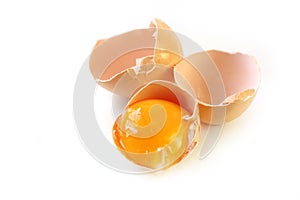 Eggshells and Yolk