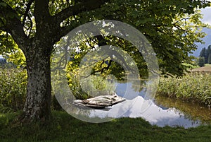 The Eglsee near Abtenau photo