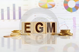 EGM the word on wooden cubes, cubes stand on a reflective surface, in the background is a business diagram