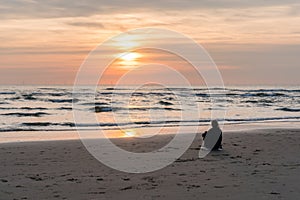 Egmond-aan-Zee, Netherlands, 09-24-2016: Girl at the seafront sunset