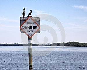 Egrets trade places on top of waterway sign.