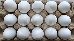 15 Egs on the Egs box