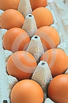 Egs in paper container