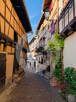 Eguisheim street, Alsace, France during summer photo