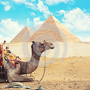 Egypt Cairo - Giza