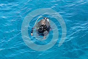 Egypt - diver with scuba swimming in Red sea